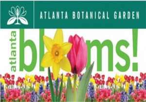 Atlanta Blooms
